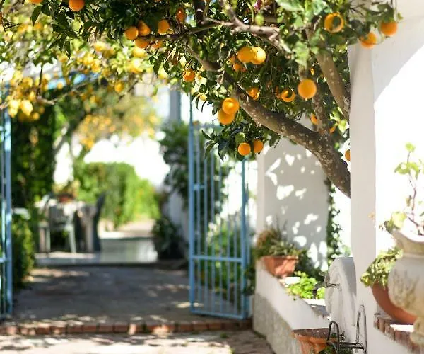 Le Querce Redang Island