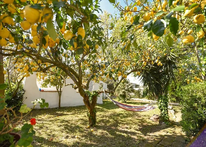 Le Querce * Redang Island