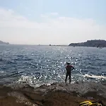 Le Querce * 普罗奇达