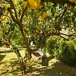 Le Querce 普罗奇达