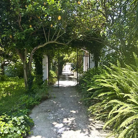 Holiday home Le Querce Procida