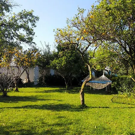 Holiday home Le Querce Procida