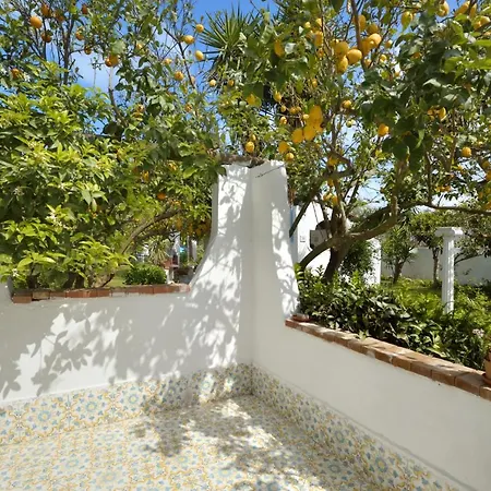 Le Querce Procida