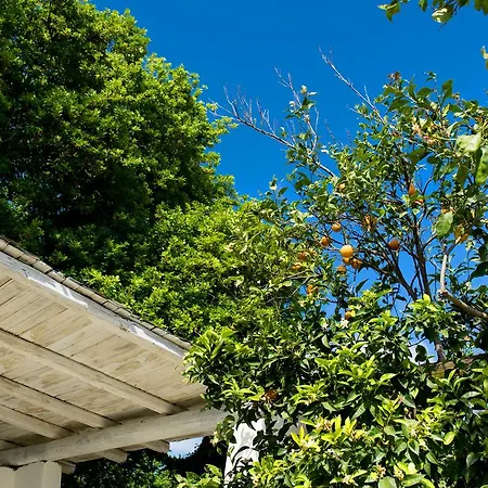 Le Querce *