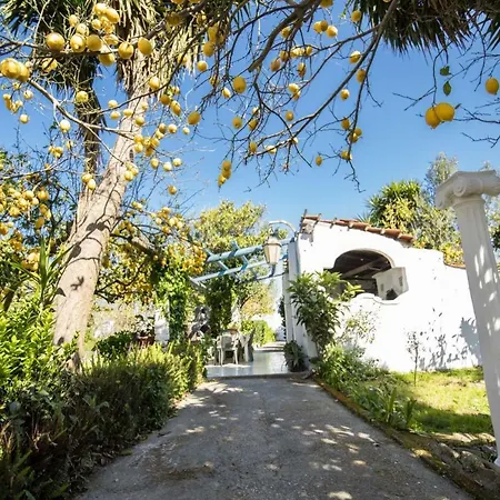 Le Querce Procida