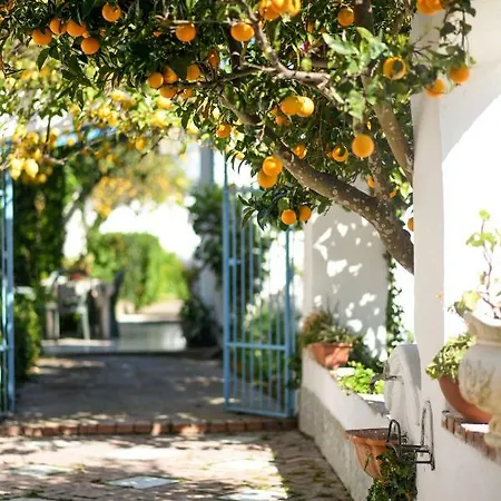 Le Querce بروسيدا