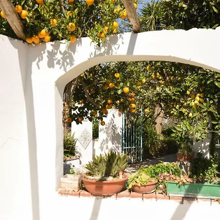 Le Querce بروسيدا