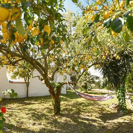 Le Querce * Procida