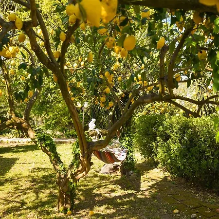 Le Querce Procida